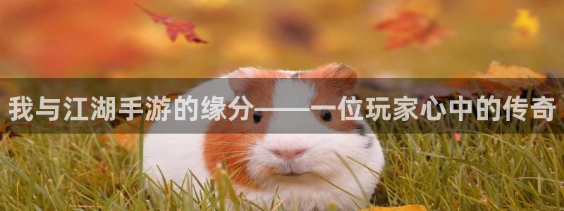 大神吧28怎么登陆：我与江湖手游的缘分——一位玩家心中的传奇