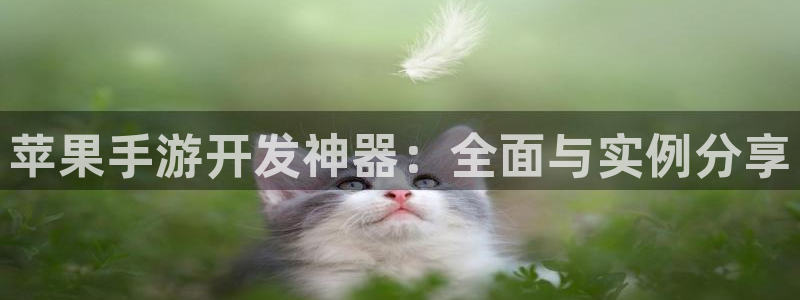 蓝图娱乐网页开不了怎么回事：苹果手游开发神器：全面与实例分享