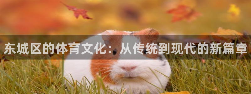 678体育app：东城区的体育文化：从传统到现代的新篇章