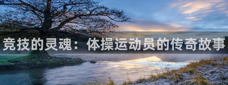 678体育官网下载：竞技的灵魂：体操运动员的传奇故事