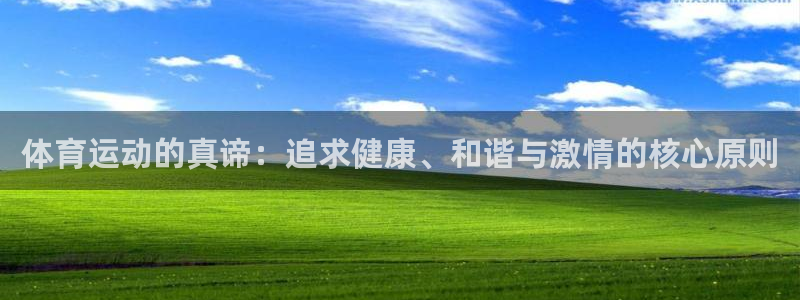 678体育官网下载：体育运动的真谛：追求健康、和谐与激情的核心原则