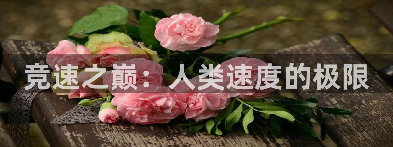 678体育app：竞速之巅：人类速度的极限