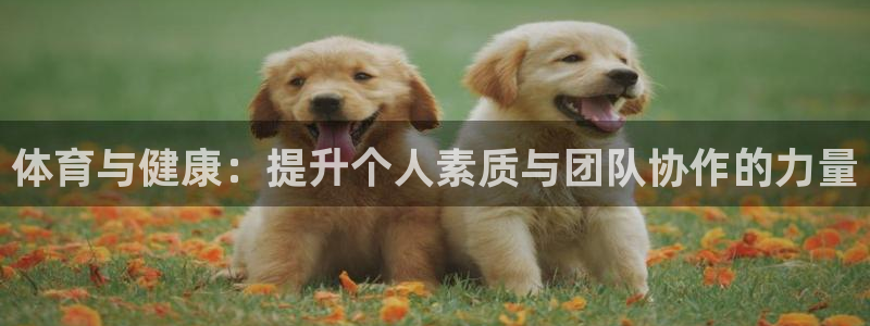 678体育官网下载：体育与健康：提升个人素质与团队协作的力量