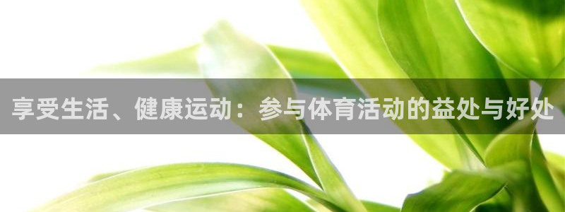 678体育官网下载：享受生活、健康运动：参与体育活动的益处与好处
