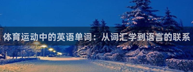678体育官网下载：体育运动中的英语单词：从词汇学到语言的联系