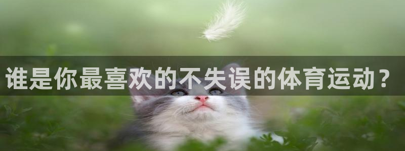 678体育官网：谁是你最喜欢的不失误的体育运动？