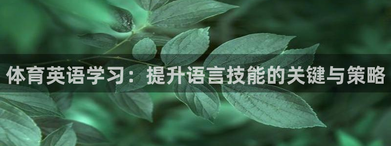 678体育官网下载：体育英语学习：提升语言技能的关键与策略