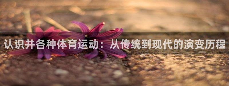 678体育知识：认识并各种体育运动：从传统到现代的演变历程